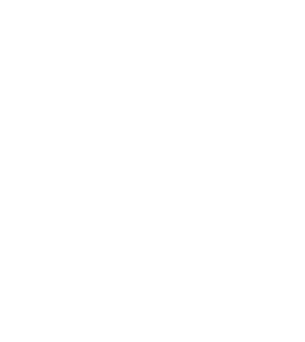 SONS OF LIFTING model turcoaz pe tricou