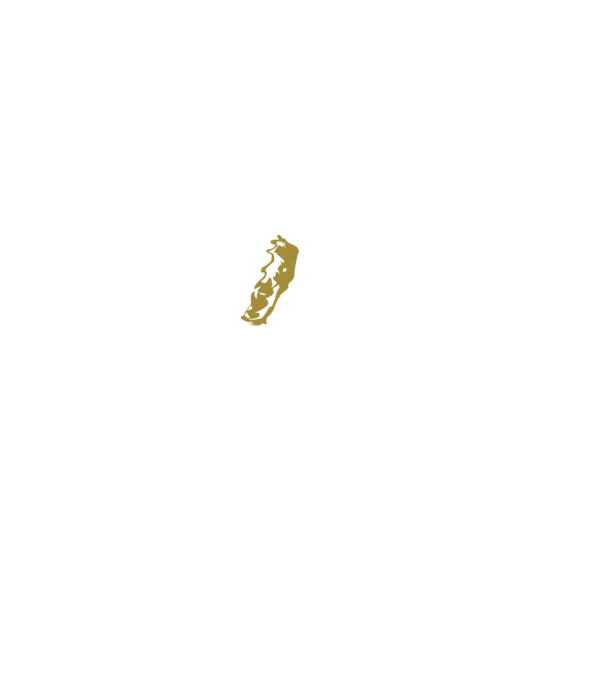King in the north 2c model negru pe tricou