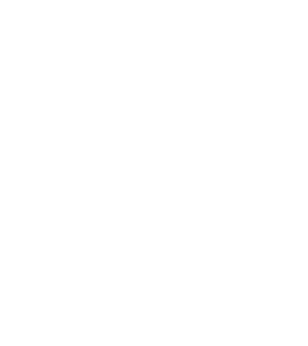 Crazy Cat Ladies are born in December model negru pe tricou
