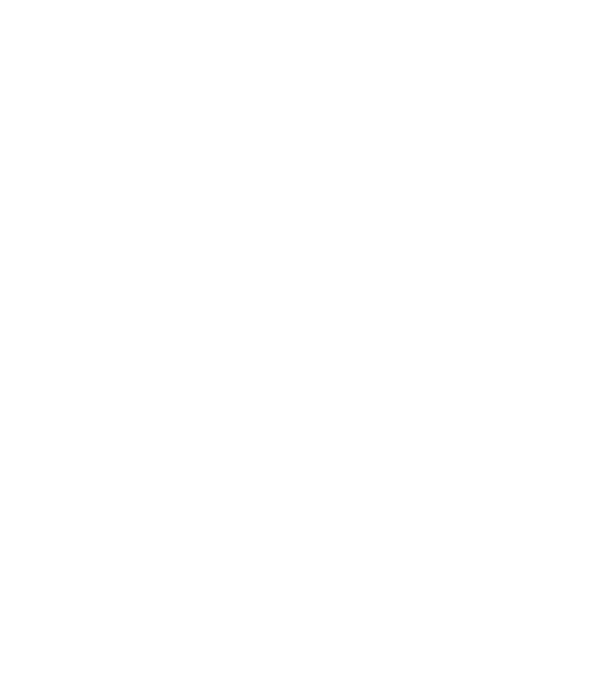 Cei mai buni călăreți sunt născuți în iunie model negru pe tricou