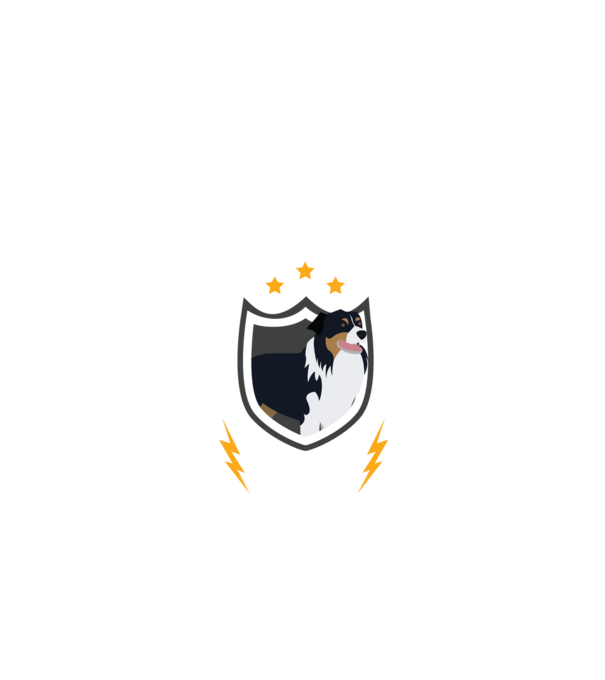 serviciu de securitate - securitate - persistență - 24 de ore pe zi model negru pe tricou