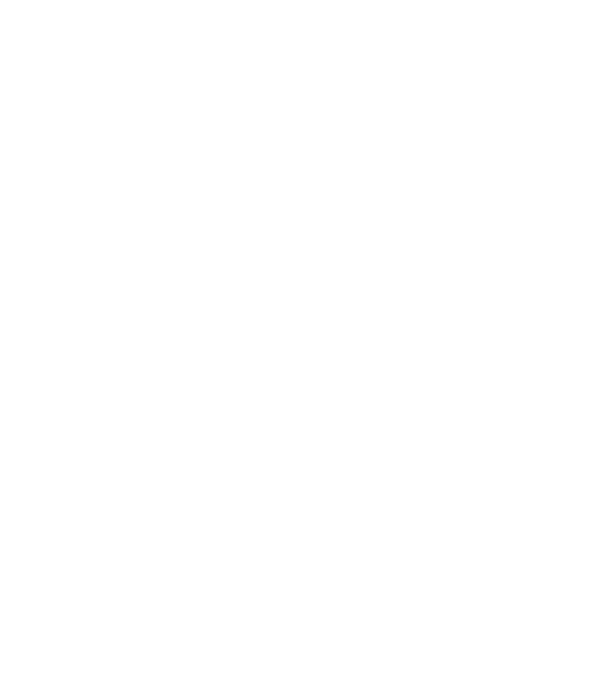 Nimic din această geantă nu-mi aparține. lucruri de mămici... model negru pe tricou