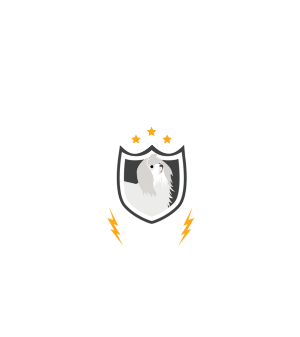 serviciu de securitate - securitate - persistență - 24 de ore pe zi model negru pe tricou