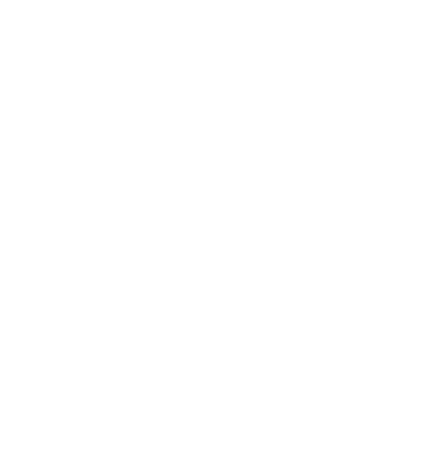 Bug fixed model negru pe tricou
