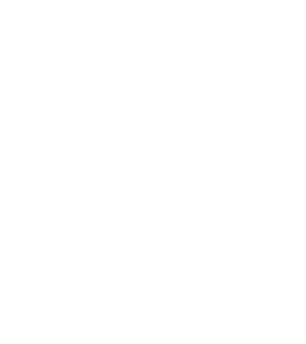 Mr 2 model negru pe tricou