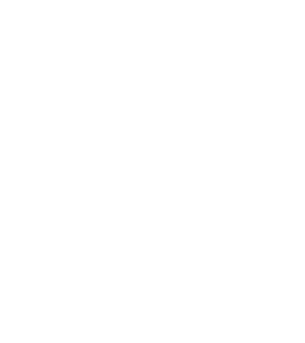 EarthLogo model negru pe tricou