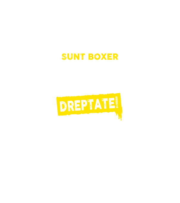 sunt boxer - pentru a economisi timp, să reținem că am întotdeauna dreptate model negru pe tricou