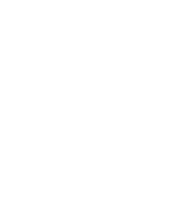 I do my own stunts model gri pe tricou