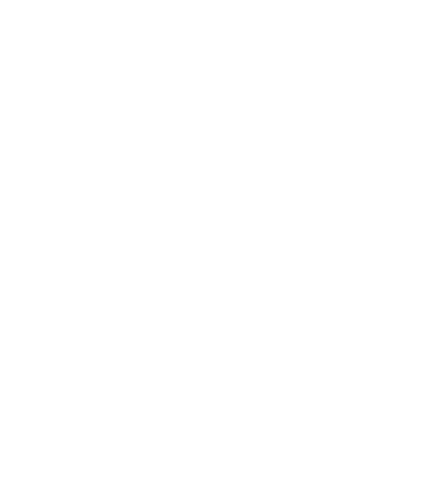 King in The North Wolf model negru pe tricou