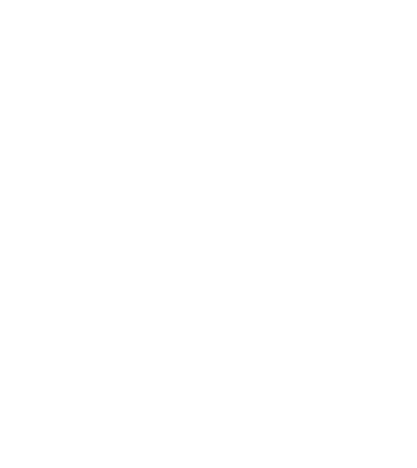 ADVENTURE model galben neon pe tricou