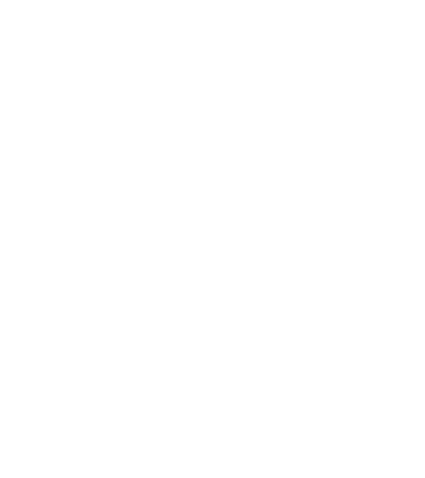 Box evolution model negru pe tricou
