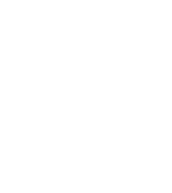 Regele - ceaunului! model alb pe tricou