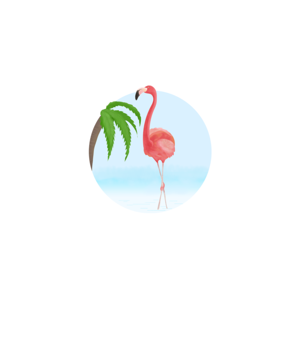 Flamingo model alb pe tricou
