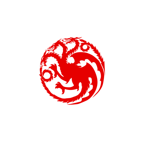 Targaryen model gri pe tricou