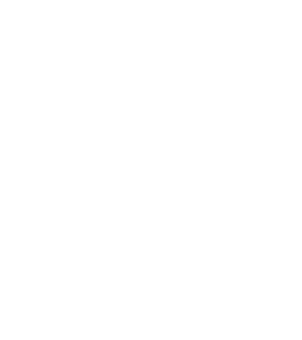 Respect the fish model gri închis pe tricou