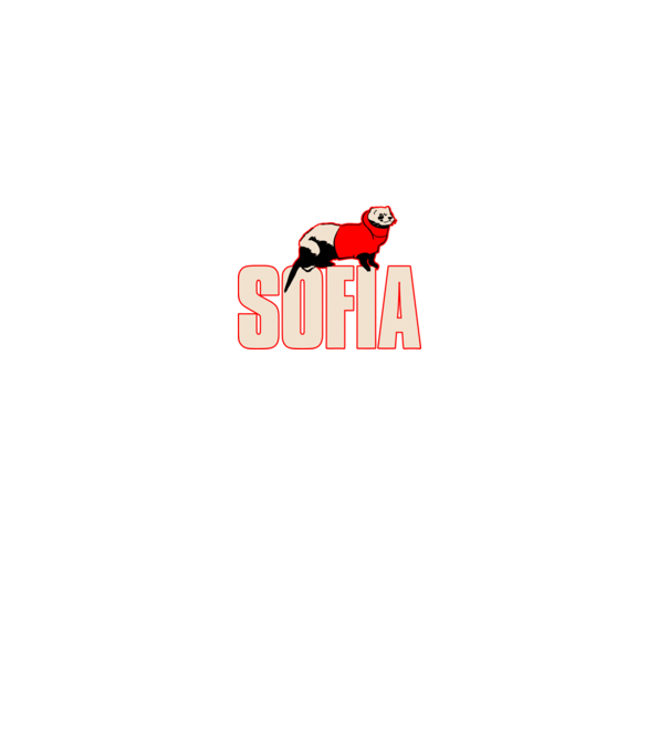 sofia la casa de papel model gri pe tricou