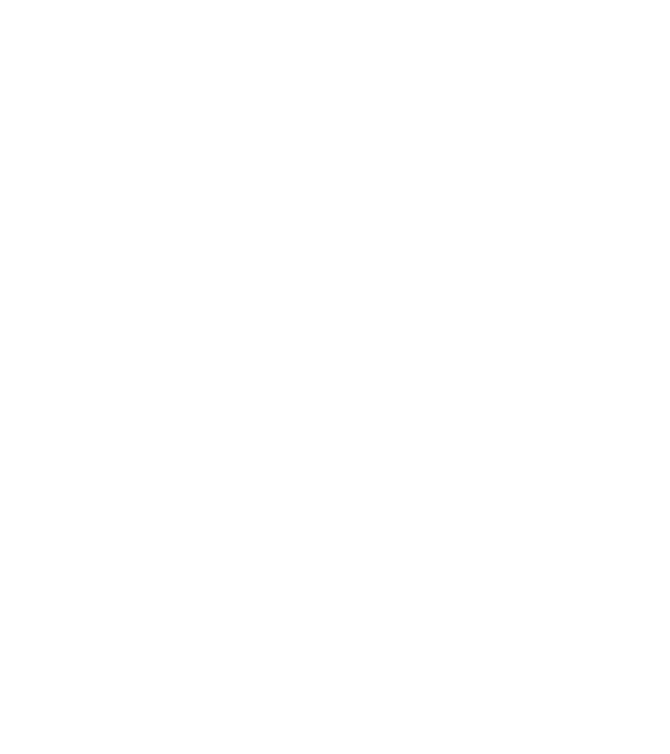 All men are created equal but only the best are born in june model negru pe tricou
