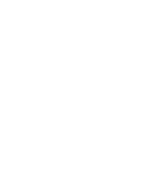 nimeni nu e perfect, dar stăpânii de chivava sunt foarte aproape model negru pe tricou