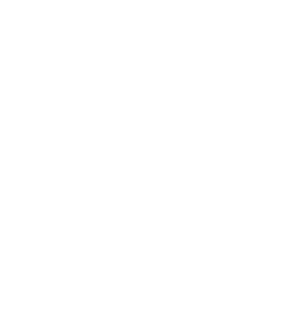 Nimeni nu e perfect, dar șoferii de dube sunt foarte aproape model negru pe tricou