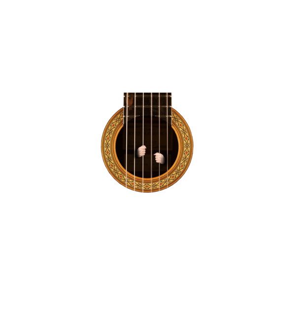 Guitar prison model negru pe tricou