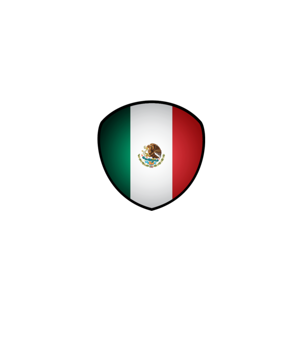 MEX-jabulani-flag model alb pe tricou