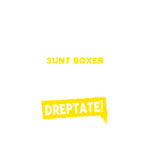 sunt boxer - pentru a economisi timp, să reținem că am întotdeauna dreptate model negru pe tricou
