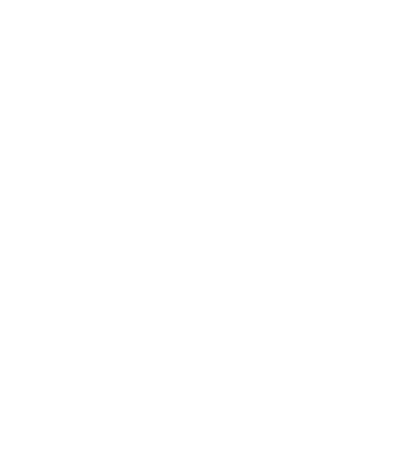 chitară evolution model gri pe tricou