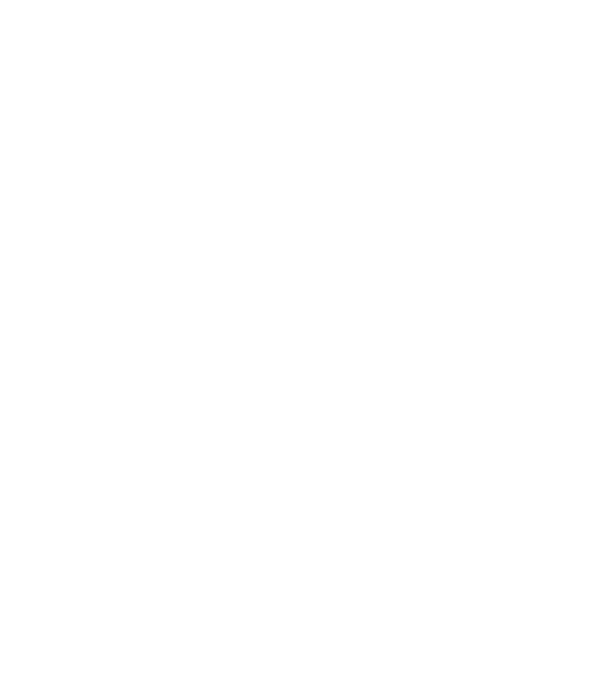 I do my own stunts model turcoaz pe tricou