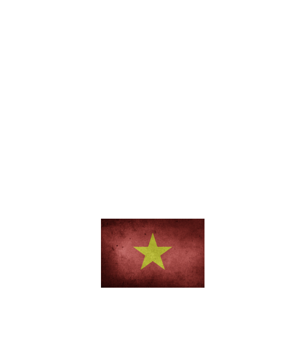 VIETNAM model alb pe tricou