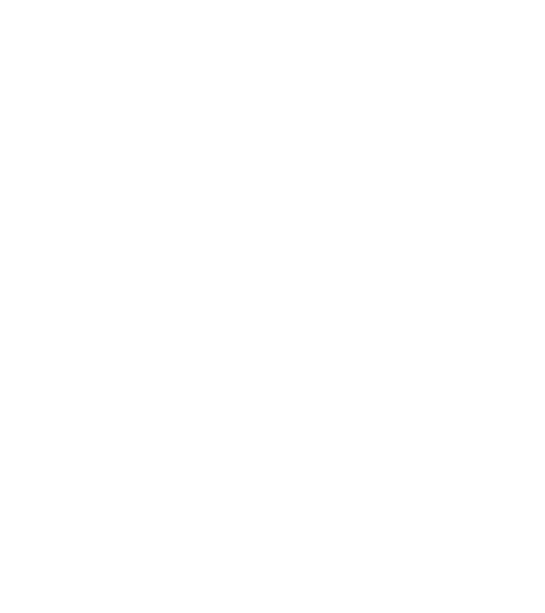 All men are created equal but only the best are born in november model negru pe tricou