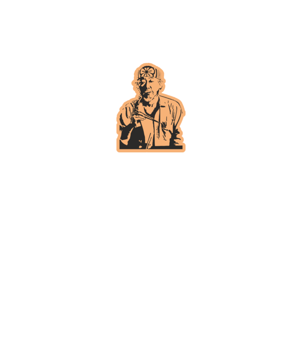 Mister miyagi cobra kai model alb pe tricou