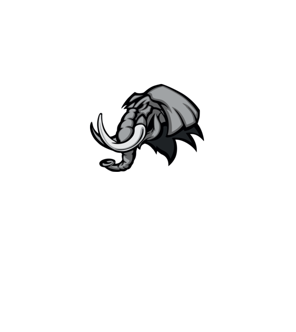 Elephant model dusty pink pe tricou