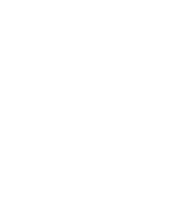 Alive since 2009 model negru pe tricou