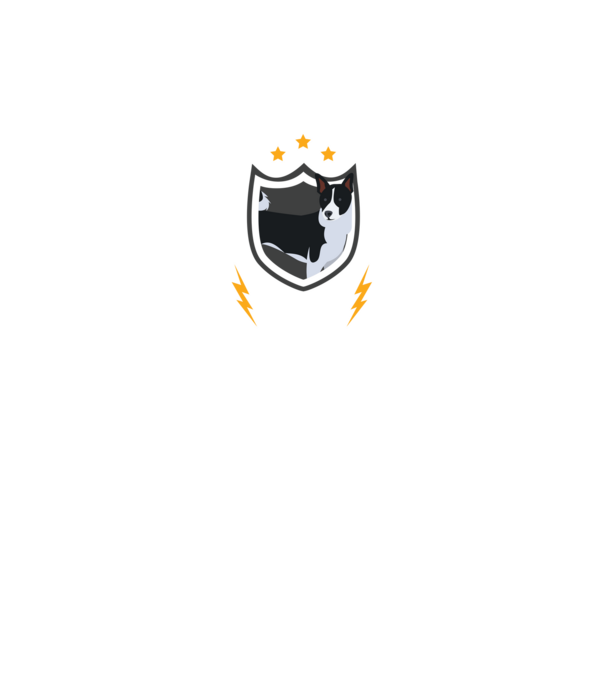 serviciu de securitate - securitate - persistență - 24 de ore pe zi model negru pe tricou