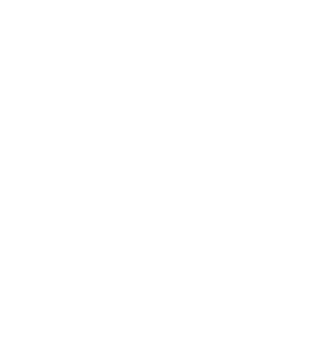 Bug fixed model negru pe tricou