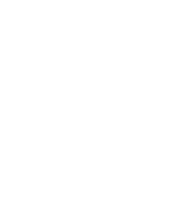 Așa arată un HOCHEIST foarte chipeș model negru pe tricou