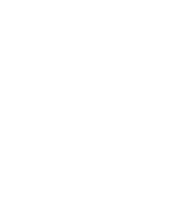 666 Metal model gri pe tricou