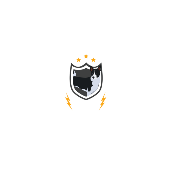 serviciu de securitate - securitate - persistență - 24 de ore pe zi model negru pe tricou