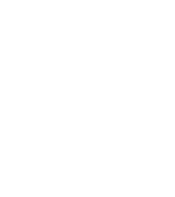nimeni nu e perfect, dar stăpânii de havanese sunt foarte aproape model negru pe tricou