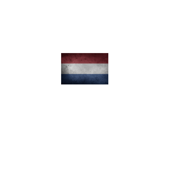 NETHERLANDS model gri pe tricou