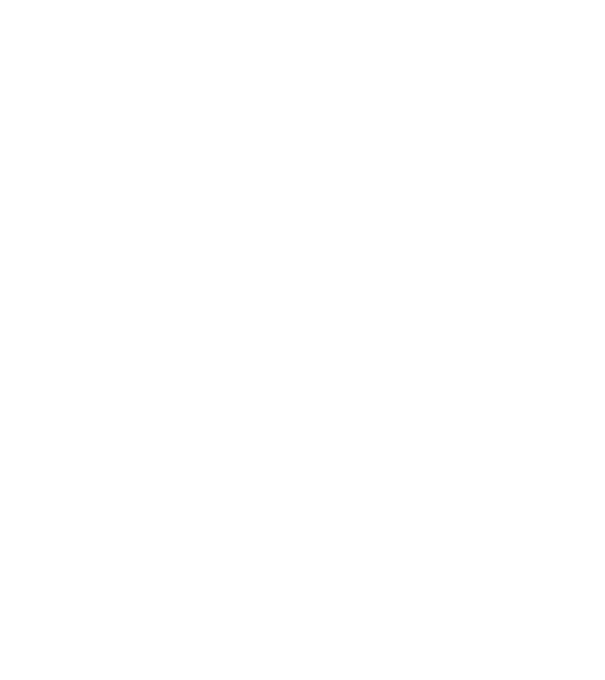 W.I.F.E. model negru pe tricou