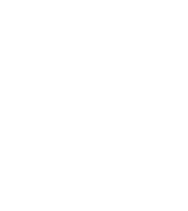 Crazy Cat Ladies are born in January model negru pe tricou