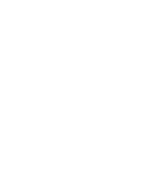 W.I.F.E. model negru pe tricou