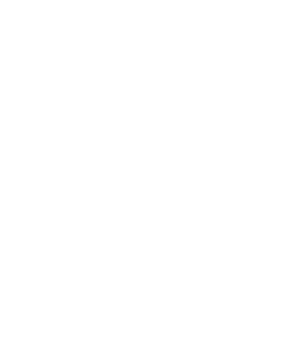 Monday model gri pe tricou