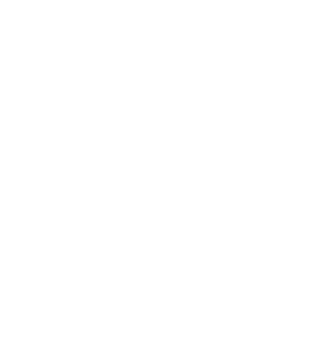 Box evolution model negru pe tricou