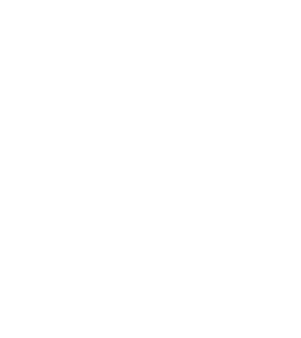 LOVE VIȘLĂ model negru pe tricou