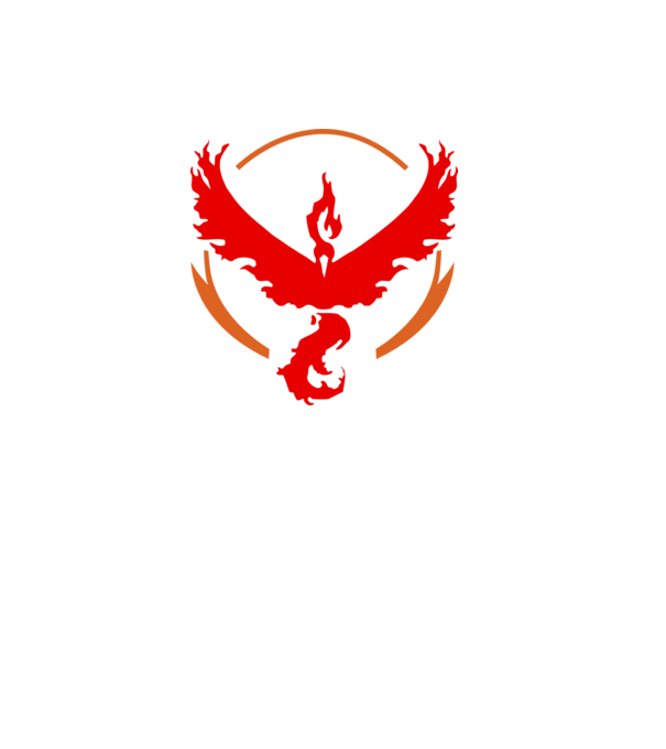 Valor team logo model alb pe tricou