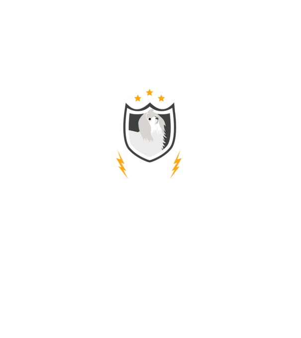 serviciu de securitate - securitate - persistență - 24 de ore pe zi model negru pe tricou