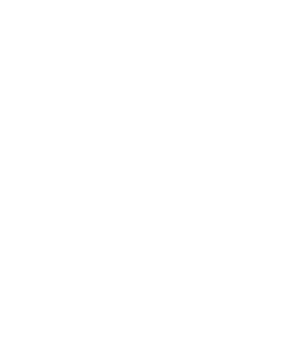 nimeni nu e perfect, dar stăpânii de chivava sunt foarte aproape model negru pe tricou