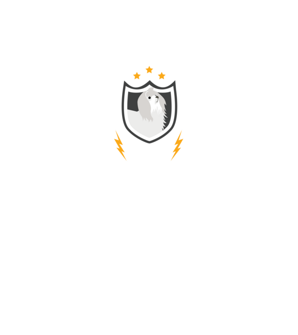serviciu de securitate - securitate - persistență - 24 de ore pe zi model negru pe tricou